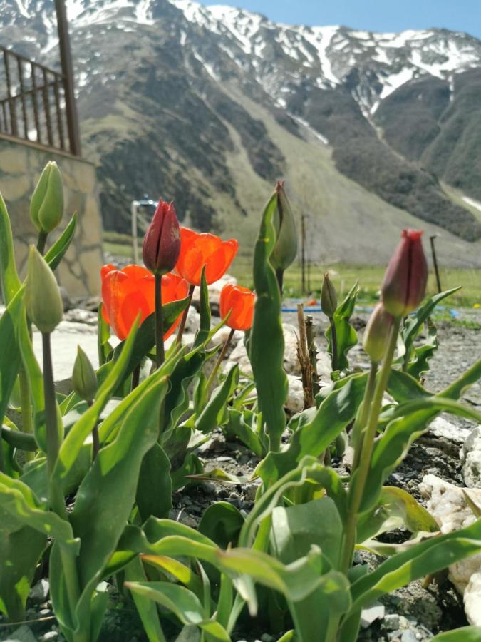 Hotel Diamond Kazbegi المظهر الخارجي الصورة